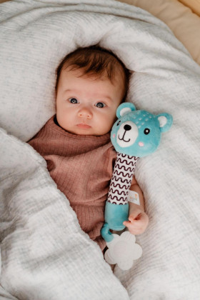 Pískátko/kousátko plyš 25 cm 0 m+ Babyted