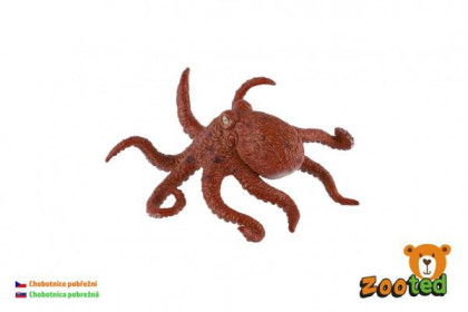 Chobotnice pobřežní zooted plast 8 cm