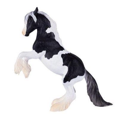 Mojo Hřebec Gypsy Vanner