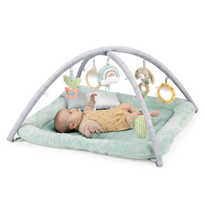 Deka na hraní s polštářkem Calm Springs™ 0 m+ Ingenuity