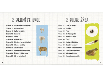 Z jehněte ovce, z pulce žába - Životní cyklus