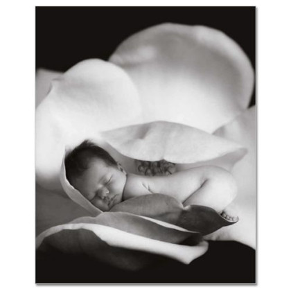 Kniha Mých Prvních Pět Let Anne Geddes - Růže - X-Large