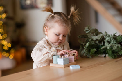 Třídíme tvary IV - dřevěná skládačka 17 dílů Pastel Cubika