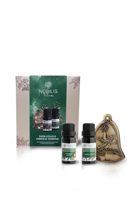 Sada kouzlo zimního domova