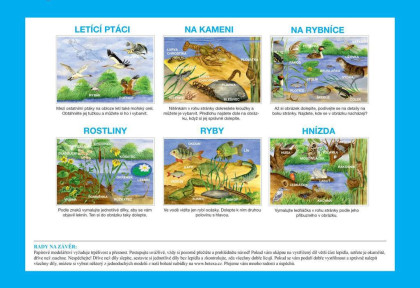 Betexa Začínáme vystřihovat – U vody
