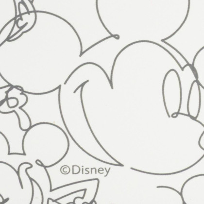 Box na salát To Go 1810 ml Mickey Mouse