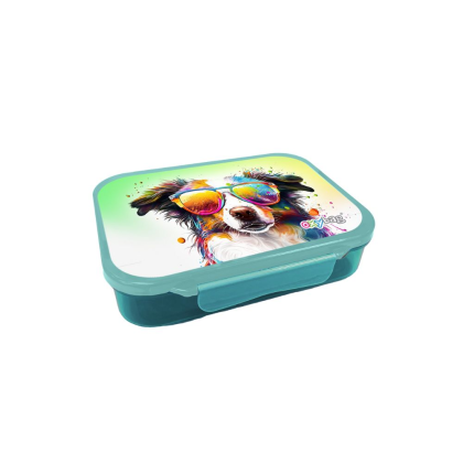 Box na svačinu s přihrádkami crazy animals OxyBag