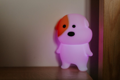 LED silikonová noční lampička Rgb se zvukem - odpočívající pejsek Mary's