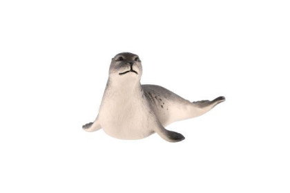 Tuleň obecný zooted plast 12 cm