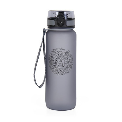 Sportovní láhev 800 ml Albi