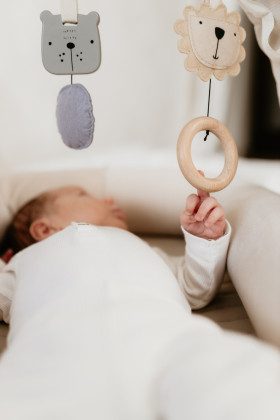 Nastavitelná hrazdička s hračkami a bílým šumem 2 v 1 Sleepee