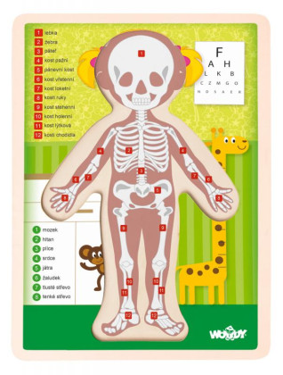 Puzzle Lidské tělo - Holka CZ
