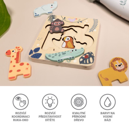 Dřevěné puzzle hlavolam, Wood Zopa