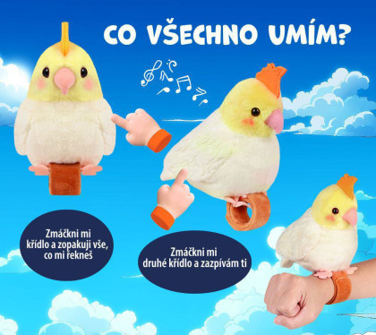 Opakující a zpívající papoušek Steppos