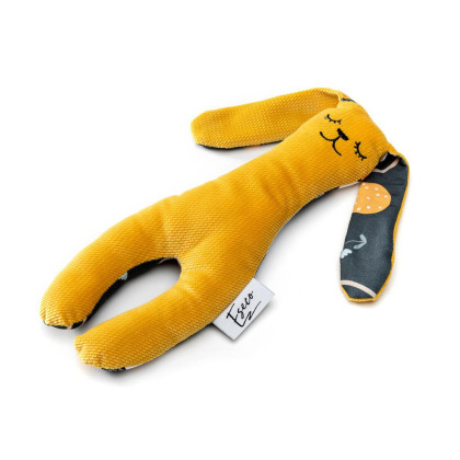 My first bunny usínáček T-Tomi