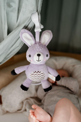 Natahovací hrací strojek plyš 30 cm závěs na postýlku/kočárek Babyted