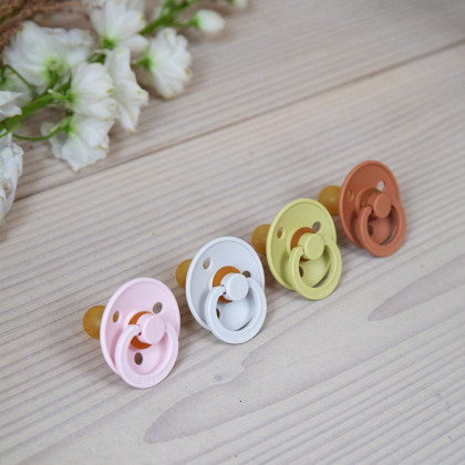Dudlíky kaučuk 2 ks 0-6 měsíců Colour Bibs