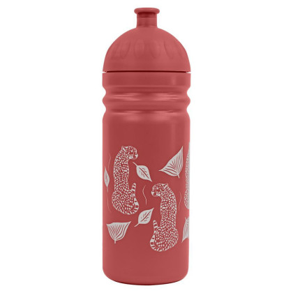 Zdravá láhev na pití 0,7 l