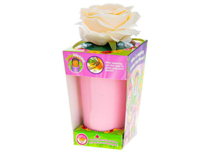 Miminko Babyblooms 12,5 cm s doplňky a květinou