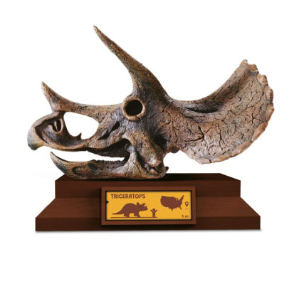 Lovci lebek Albi - Triceratops