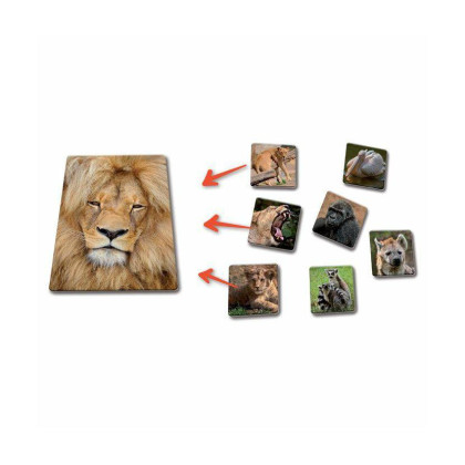 Betexa LotoTrio Zvířátka v Zoo 1