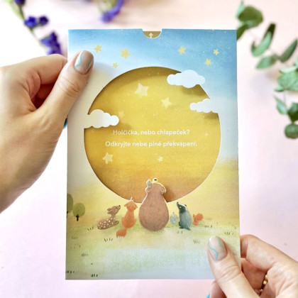 Odhalení pohlaví miminka - Budeme mít holčičku