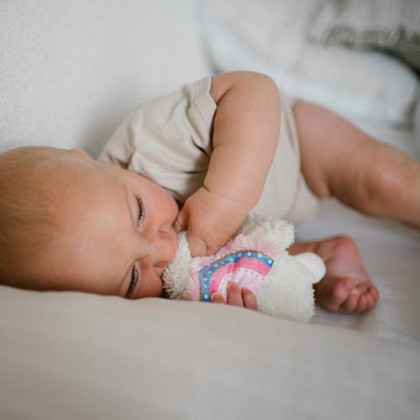 Hračka mazlíček Lama Lulu 0 m+ Babyono