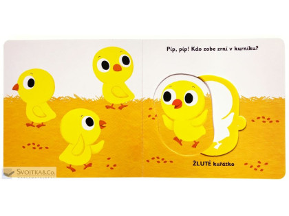 MiniPEDIE Objevujeme svět! Moje krásné barvy