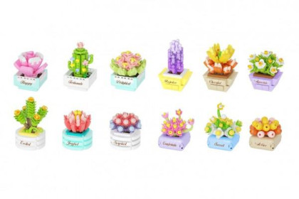 Stavebnice mini Sukulent v květináči mix druhů Koco