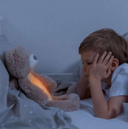 Zazu Medvídek Brody sleeptrainer s melodiemi a nočním světlem