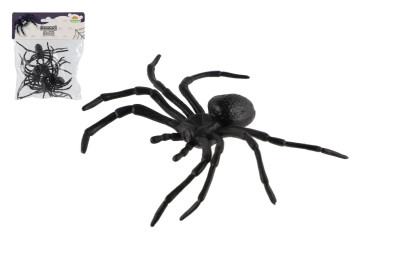 Pavouk černý 5 ks