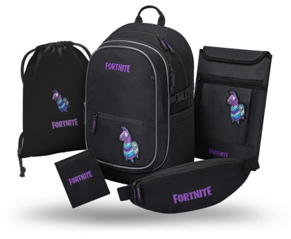 Set 5 Core Fortnite Llama: batoh, sáček, ledvinka, obal na notebook, peněženka GRS Baagl