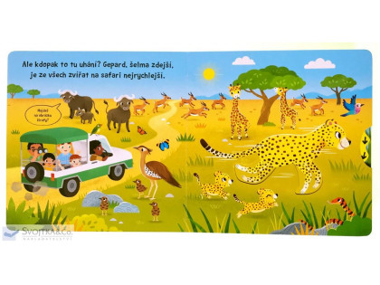 Jak to žije Safari