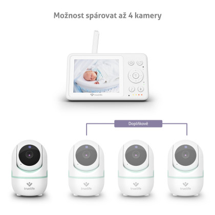TrueLife NannyCam R4i