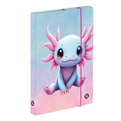 Box na sešity A5 Axolotl
