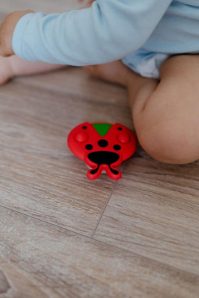 Točáček beruška babyted silikon/plast 8 x 8 cm
