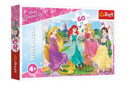 Puzzle Princezny Disney 33x22cm 60 dílků