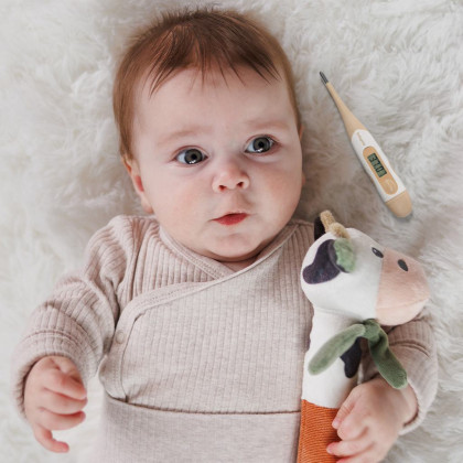 Digitální teploměr s měkkou koncovkou béžový BabyOno