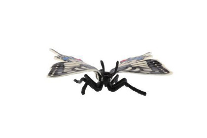 Motýl tropický Papilio/otakárek fenyklový zooted plast 8 cm
