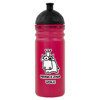 Zdravá láhev na pití 0,7 l