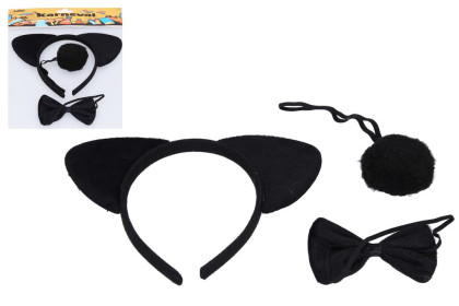 Set karneval - medvěd