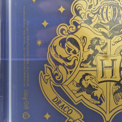 Box na salát To Go 1810 ml Harry Potter