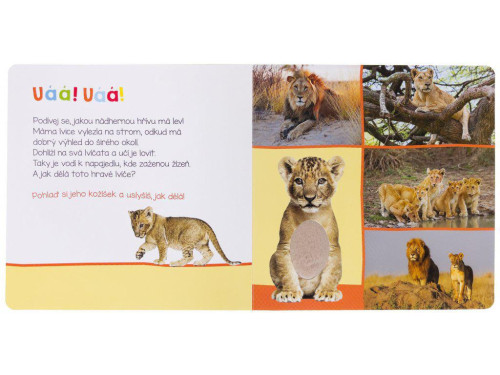 Poslouchej, kdo to může být? Zvířata ze zoo