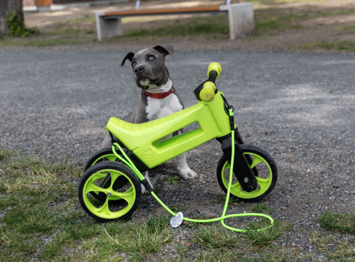 Odrážedlo Funny Wheels Rider SuperSport 2v1+popruh