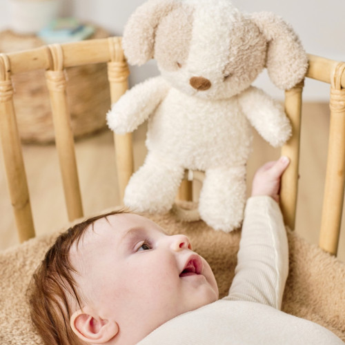 Hračka plyšová hudební Teddy pejsek Nattou 24 cm, 0 m+
