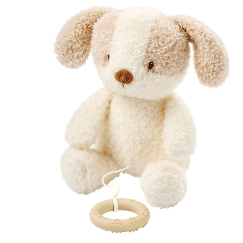 Hračka plyšová hudební Teddy pejsek Nattou 24 cm, 0 m+