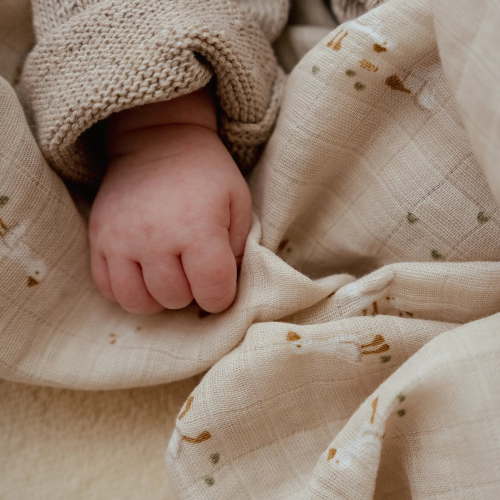 Plena zavinovací 120x120 cm Husa Newborn Naturals Little Dutch
