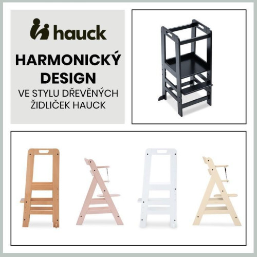 Hauck Učící věž Learn N Explore