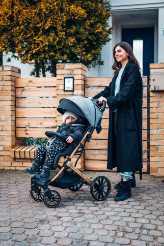 Sportovní kočárek Estelle Dakar černý Ginko MoMi