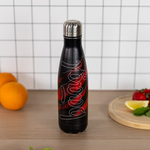 Termoláhev s kovovým víčkem 500 ml Baagl